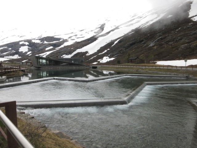 Hurtigruten_2015-06-18_16-21